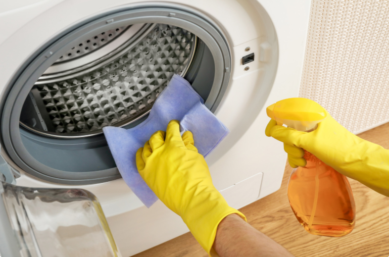 how to clean washing machine seal