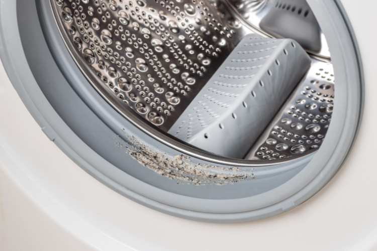 What Are the Signs of Mold in Your Washing Machine