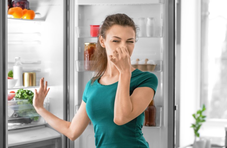 How To Remove Smell From Fridge Naturally? – Smart DIY Ideas