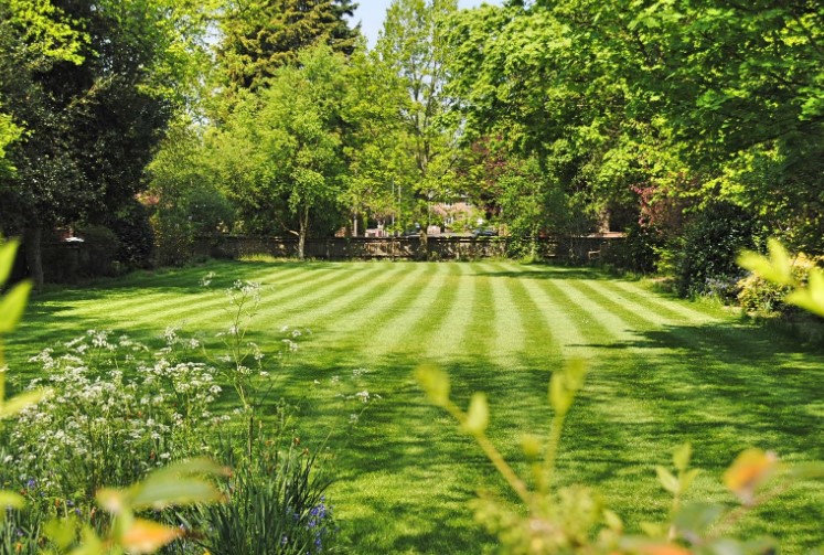 Can You Cut Wet Grass With a Petrol Mower?
