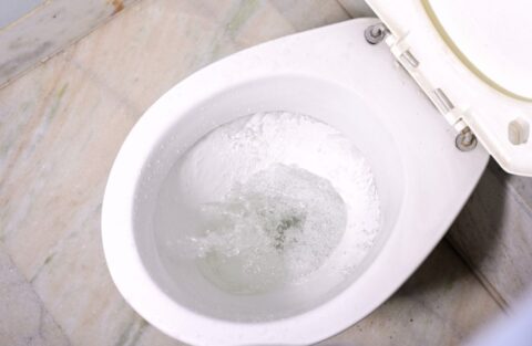 How to Fix a Running Toilet With a Button Flush?