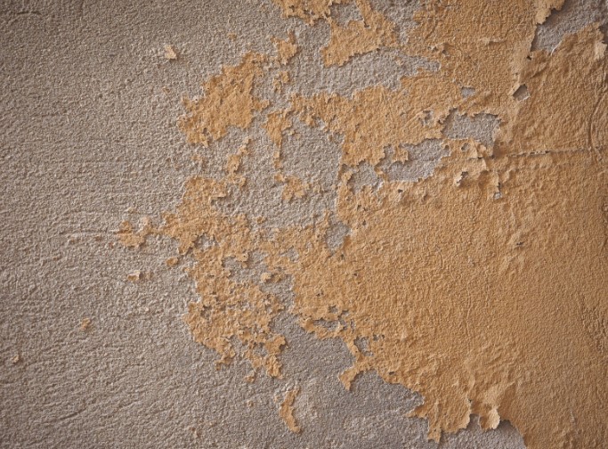 How to Treat Damp Walls Before Painting