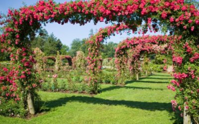 How to Lay Railway Sleepers as a Border? – Garden Edging Ideas