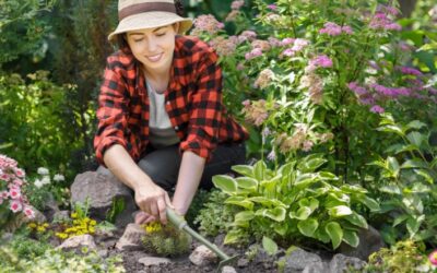 How To Get Rid Of A Lawn Full Of Weeds UK? – A Complete Guide