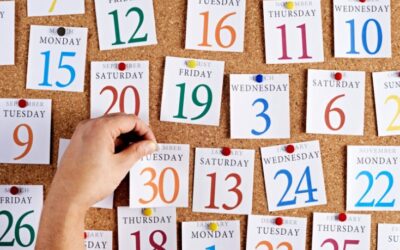 Month-by-Month Lawn Care Calendar UK – A Complete Guide