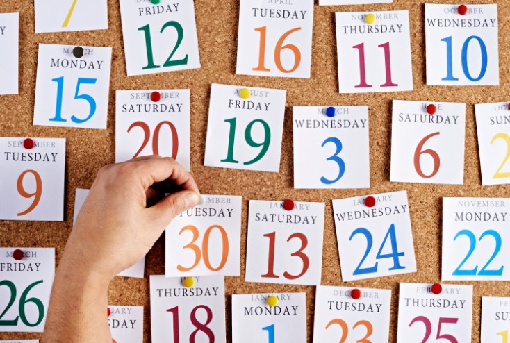 month by month lawn care calendar uk