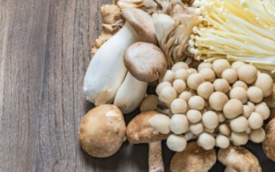 How Do You Kill Mushrooms Without Killing Grass?