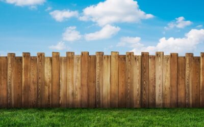 How to Remove Green Algae from a Wooden Fence? – Step by Step Guide