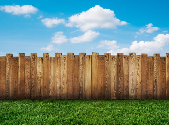 How to Remove Green Algae from a Wooden Fence