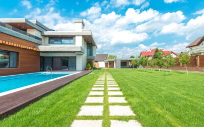 When to Scarify Lawn? What is the Best Time to Rake UK