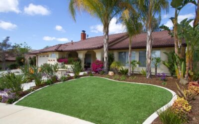 Best Time to Lay Turf UK: When Is the Perfect Month of the Year?