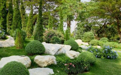 Do I Need to Remove Grass Before Rotavating? Gardening Tips