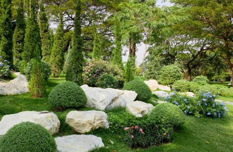 When Should I Scarify My Lawn in the UK