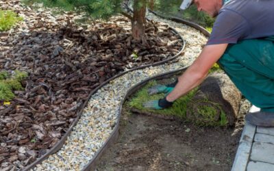 How Long Does Turf Take to Root? – A Complete Guide