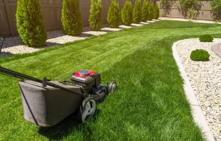 How To Revive a Lawn After Scarifying
