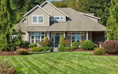 No Grass Left After Scarifying? Causes & Lawn Recovery Tips