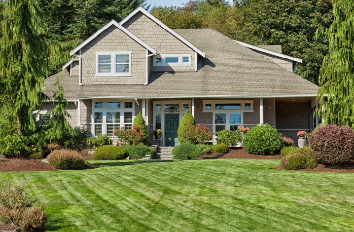 No Grass Left After Scarifying? Causes & Lawn Recovery Tips