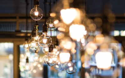 What Carries the Useful Energy from a Lamp to Its Surroundings?