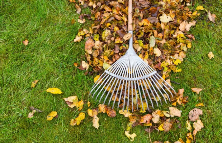 Autumn (September – November)
