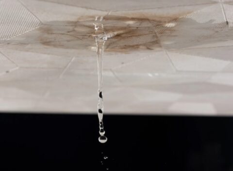 How to Find a Water Leak Inside a Wall? A Step-by-Step Guide