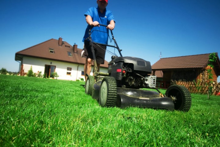 What Time of Day Should You Avoid Cutting Grass