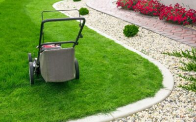 How to Scarify a Lawn? – Best Ways to Rake Your Garden in UK