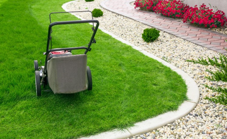 How to Scarify a Lawn