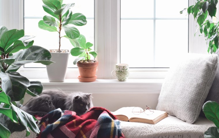 Why Should I Clean My uPVC Window Frames Regularly