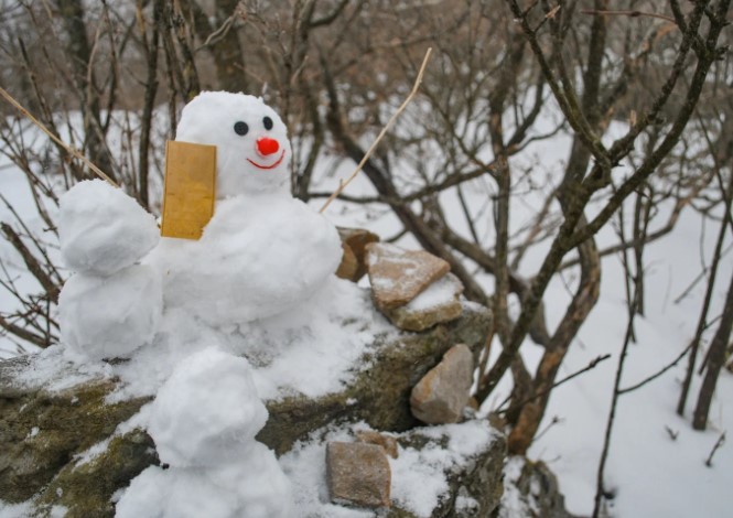 Winter (December – February)