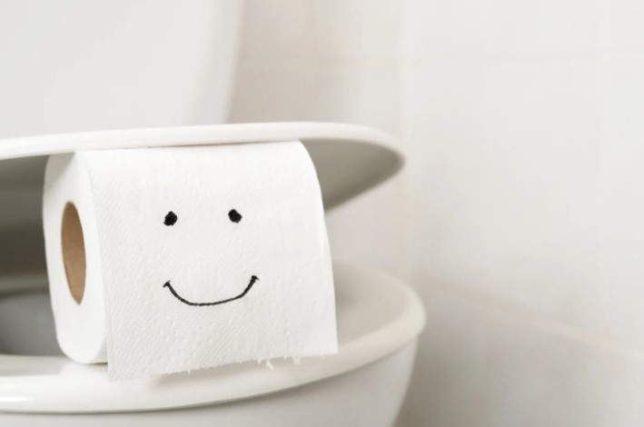 Can You Flush Wallpaper Paste Down the Toilet