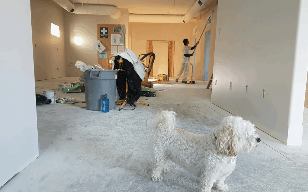 Innovative Renovations: The Role of 3D Rendering Services in Planning Home Upgrades