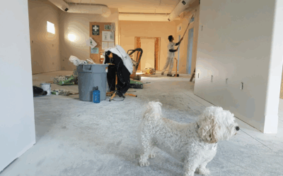 Innovative Renovations: The Role of 3D Rendering Services in Planning Home Upgrades