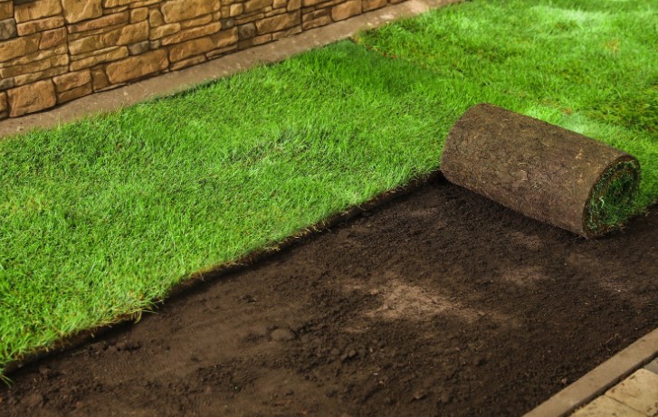 Can I Put Topsoil Over Grass and Reseed