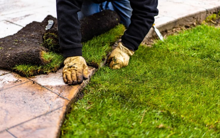 Can You Lay Turf on Top of Grass