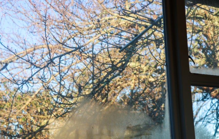 Does Vinegar Stop Condensation on Windows