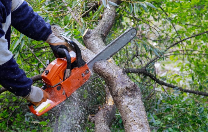 How Do I Know My Chainsaw Needs Sharpening