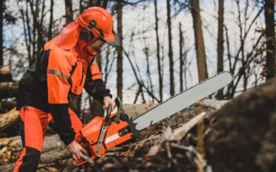 How To Sharpen a Chainsaw with a File Properly? – Smart Tips