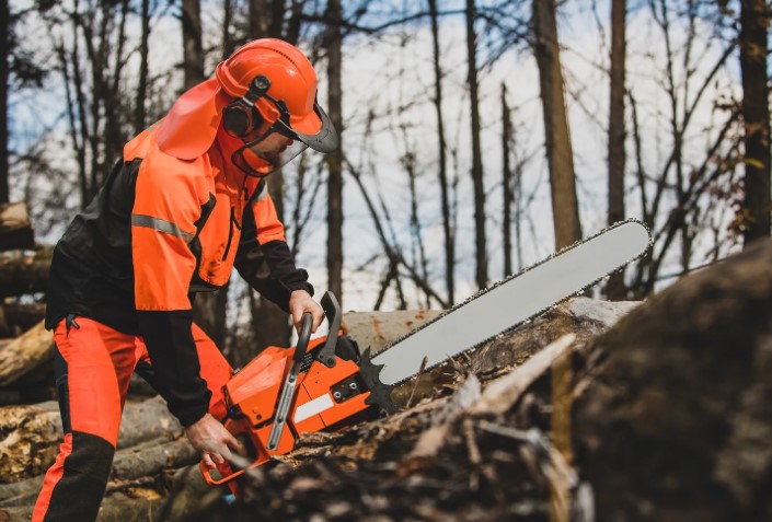 How To Sharpen a Chainsaw