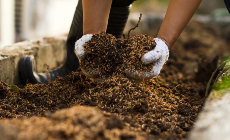 Is Compost the Same as Soil? Top Soil vs Compost & Its Uses