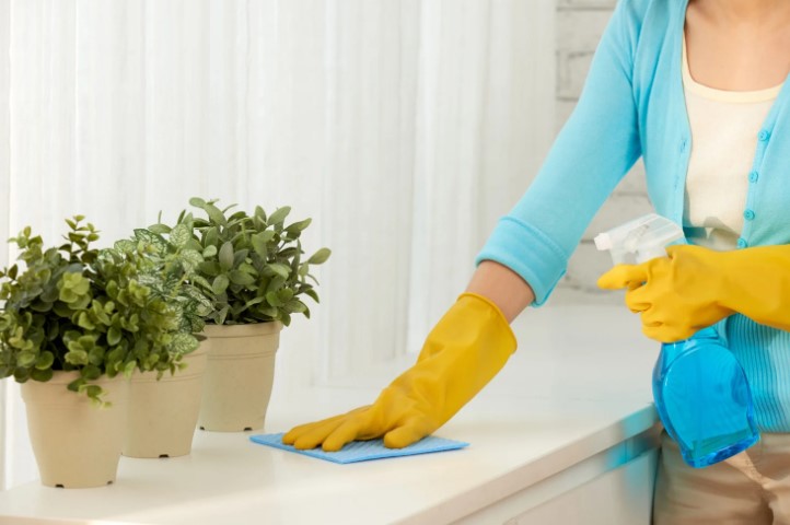 What Are Some Effective Alternatives to Vinegar