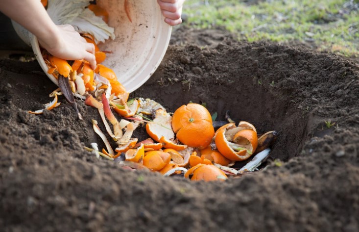 What Exactly Is Compost