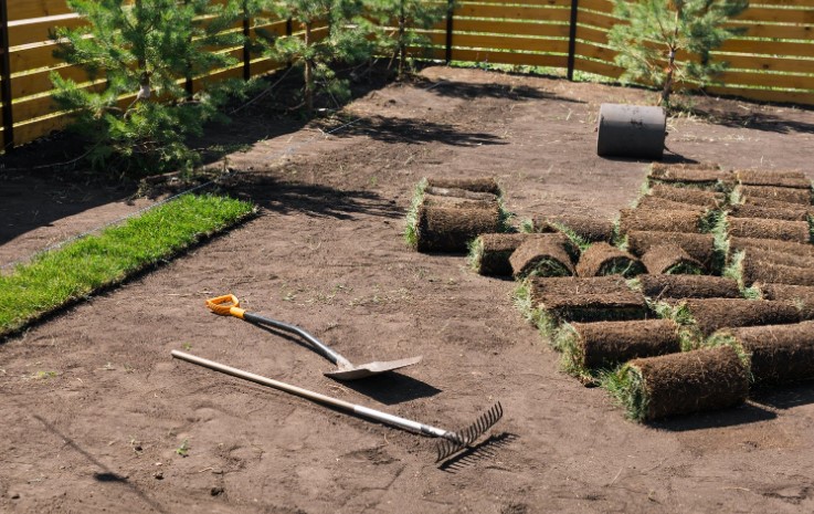 When To Lay Turf in Summer or Winter