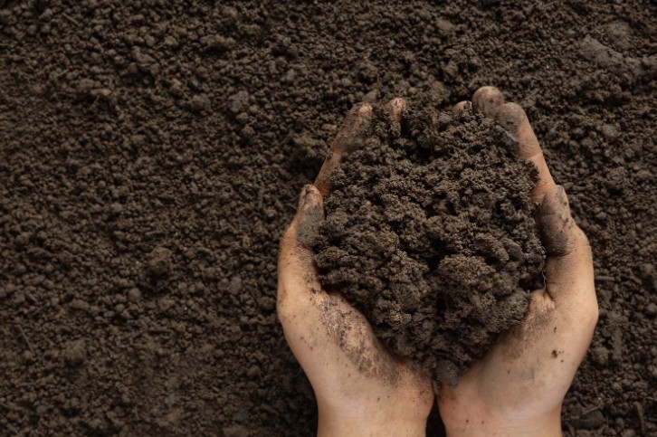 Aerate the Soil to Break Up Compaction