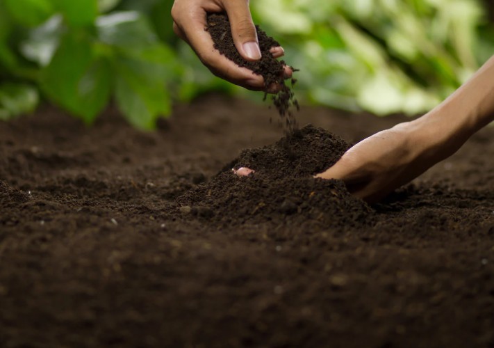Best Methods On How to Get Rid of Soil (Ranked by Cost)