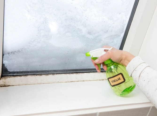 Does Vinegar Stop Condensation on Windows
