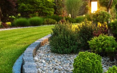 How to Drain a Waterlogged Lawn? – Expert Tips and Strategies