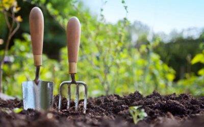 How to Get Rid of Soil? – Cheapest Way to Dispose in the UK