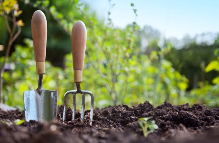 How to Get Rid of Soil