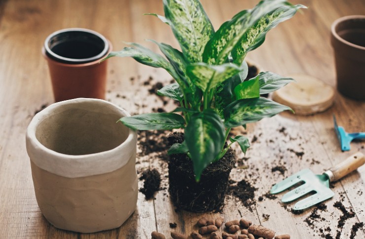 How to Improve Drainage in Clay Soil Lawn UK