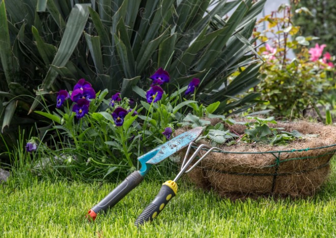 Should I Consider a Garden Drainage System